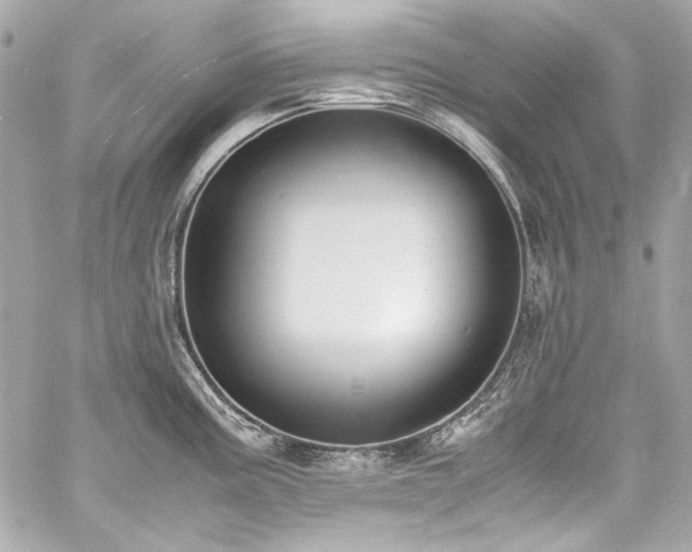 X0000060801195200511101411