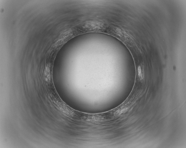 X0000060801203200511101410