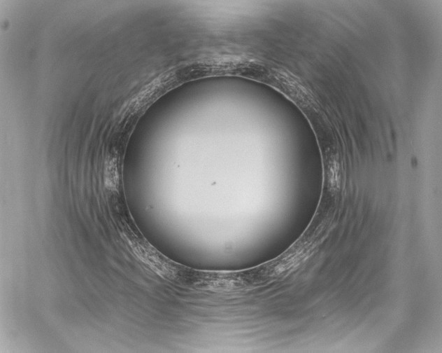 X0000060801204200511101410