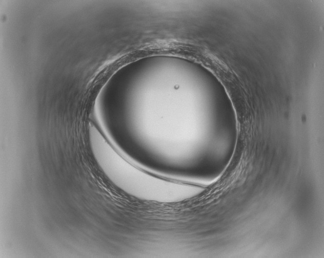 X0000060801206200511101410