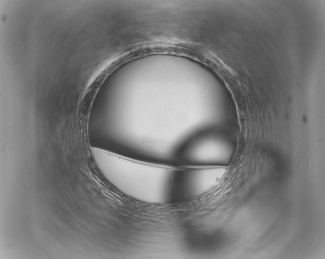 X0000060801208200511101410