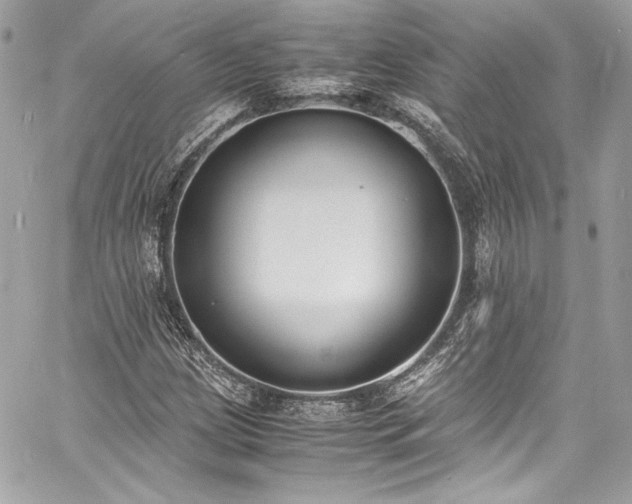 X0000060801209200511101410
