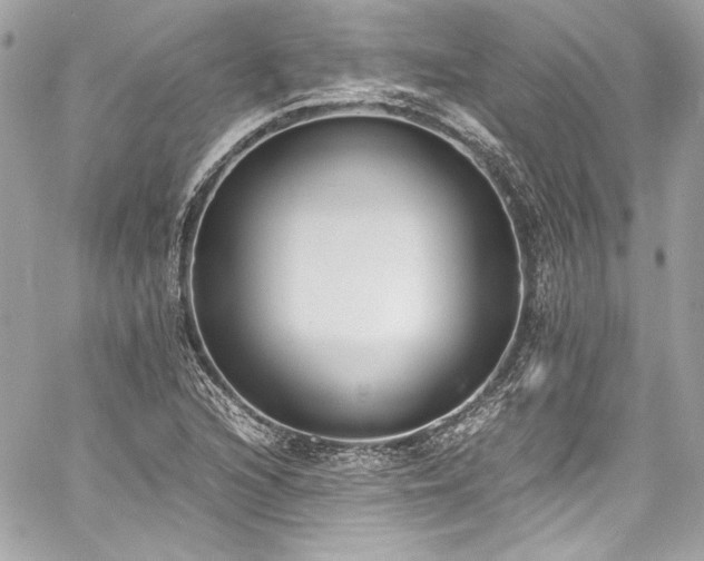 X0000060801216200511101410