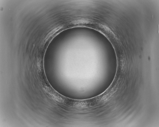 X0000060801217200511101410
