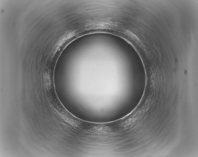 X0000060801218200511101410