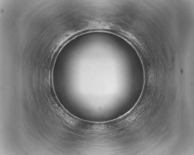 X0000060801220200511101410