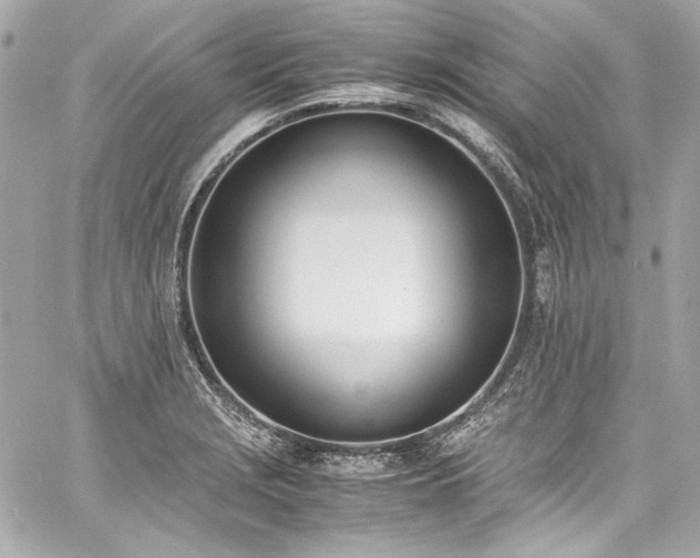 X0000060801229200511101410