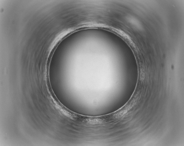 X0000060801231200511101410