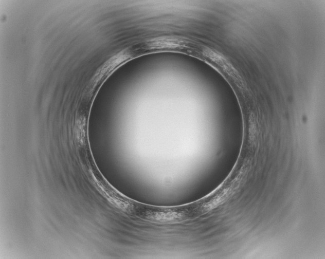 X0000060801233200511101410