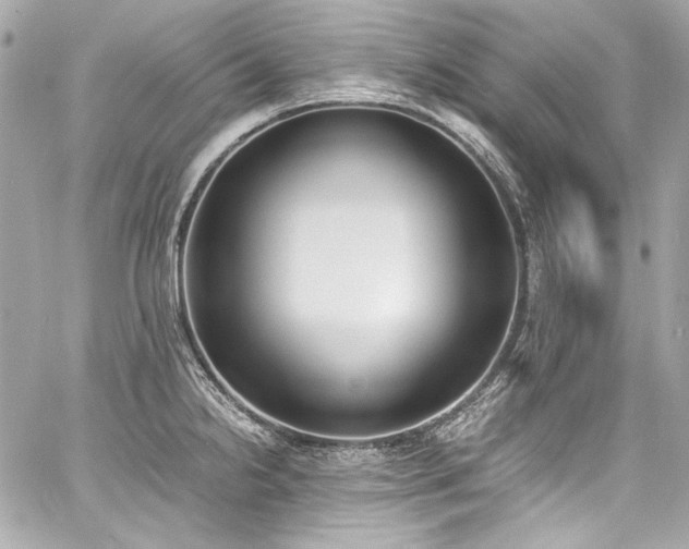X0000060801238200511101410
