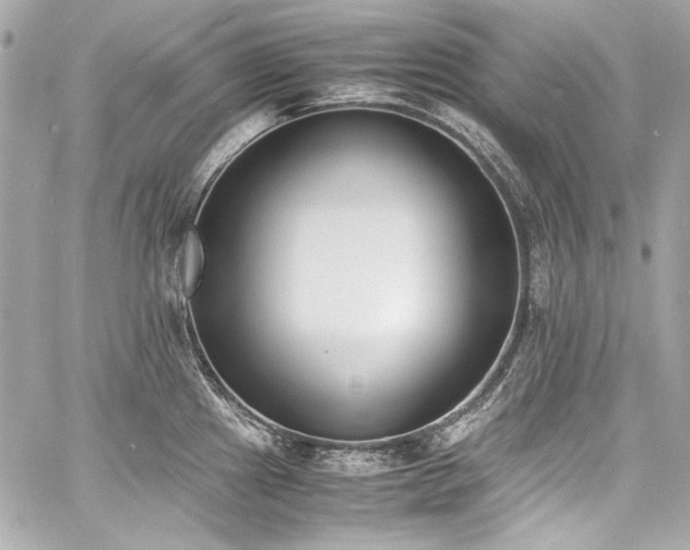 X0000060801241200511101411