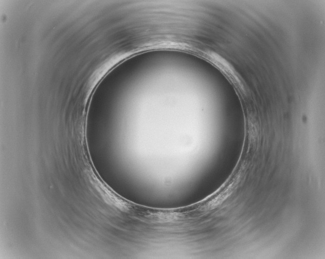 X0000060801244200511101411