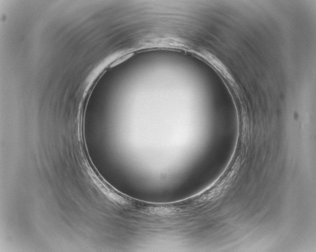 X0000060801246200511101411