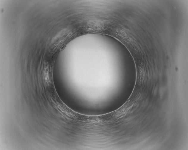 X0000060801250200511101410