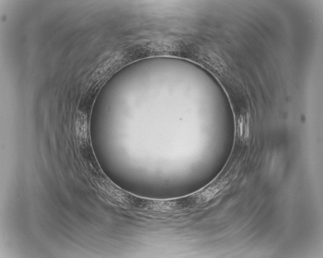 X0000060801251200511101410