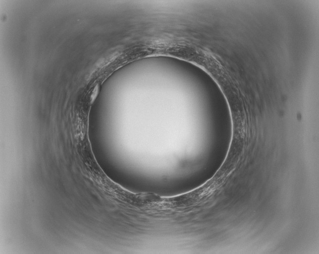 X0000060801253200511101410