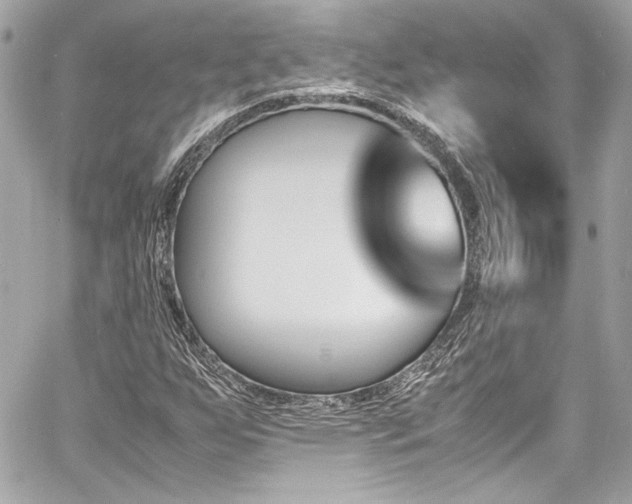 X0000060801255200511101410