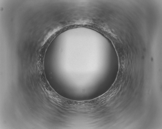 X0000060801256200511101410