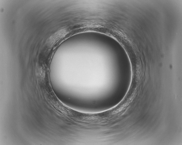 X0000060801257200511101410