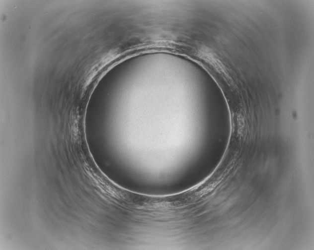X0000060801260200511101410