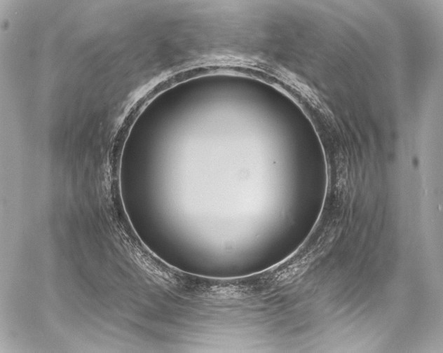 X0000060801264200511101409