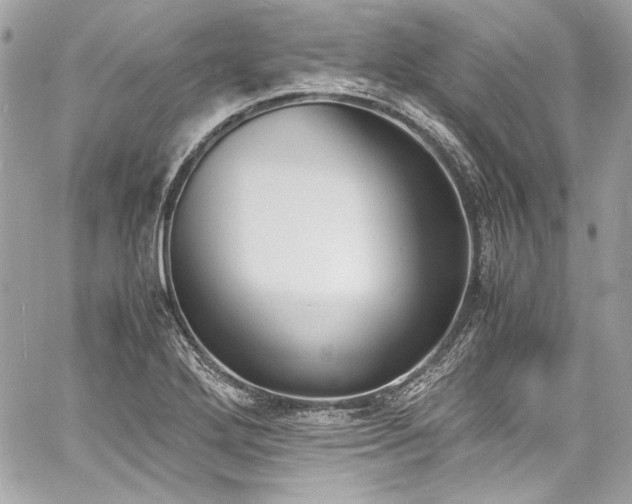 X0000060801272200511101409