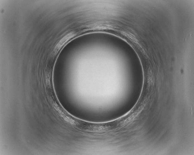 X0000060801273200511101409