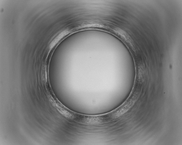 X0000060801274200511101409