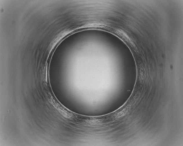 X0000060801276200511101409