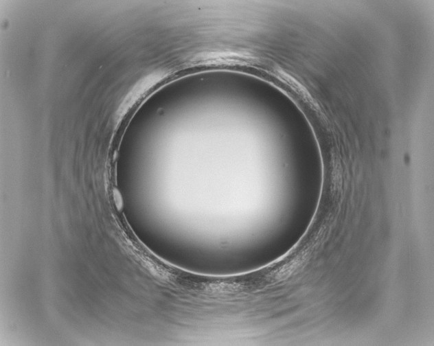 X0000060801277200511101409