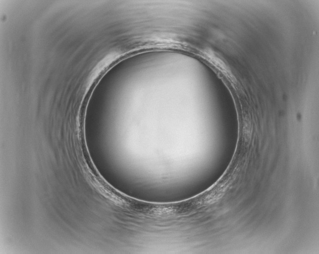 X0000060801283200511101409