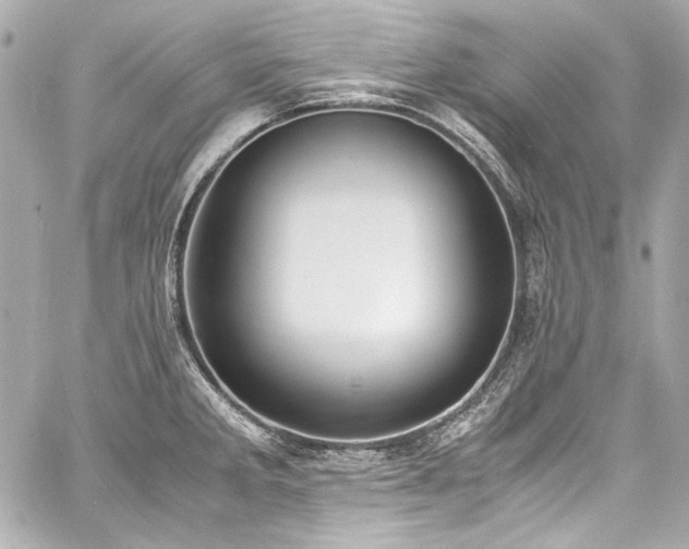 X0000060801285200511101409