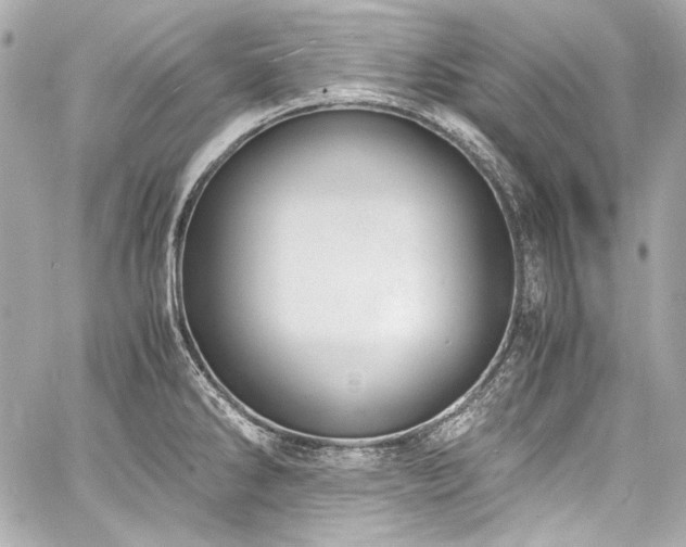X0000060801286200511101409