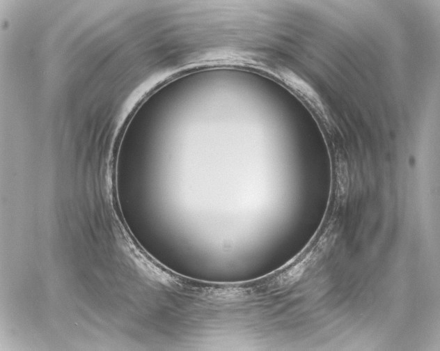X0000060801288200511101409