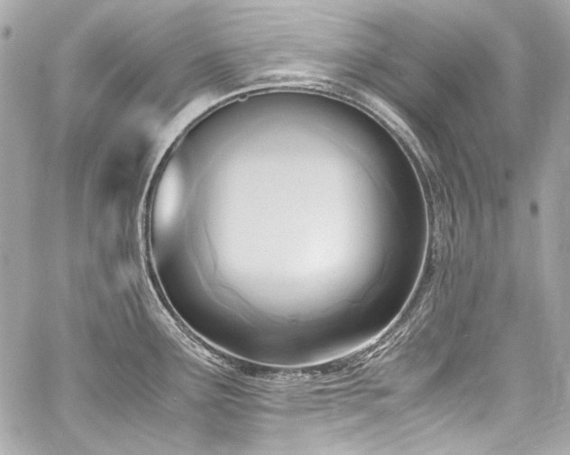 X0000060801291200511101409