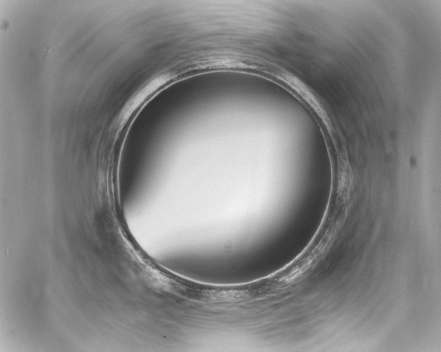 X0000060801293200511101409
