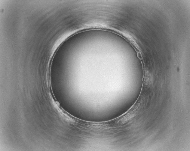 X0000060801295200511101409