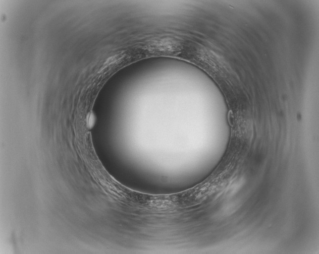 X0000060801297200511101408