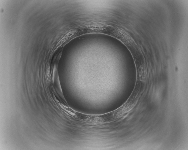 X0000060801298200511101408