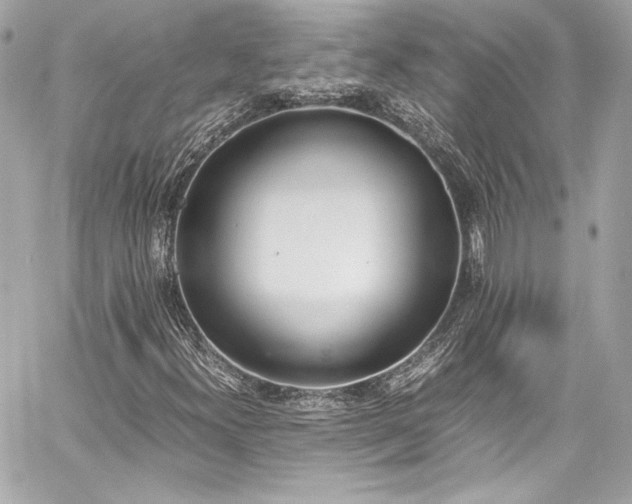 X0000060801300200511101408