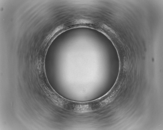 X0000060801313200511101408