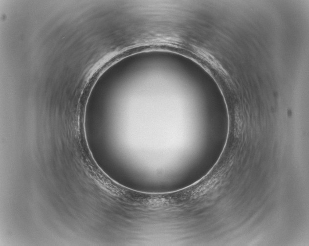X0000060801316200511101408