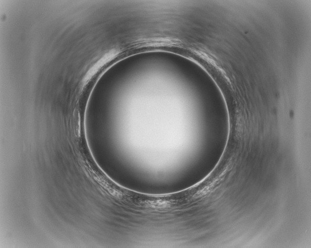 X0000060801317200511101408