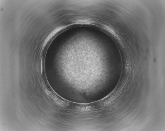 X0000060801323200511101409