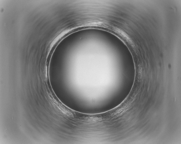 X0000060801324200511101409