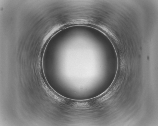 X0000060801325200511101409