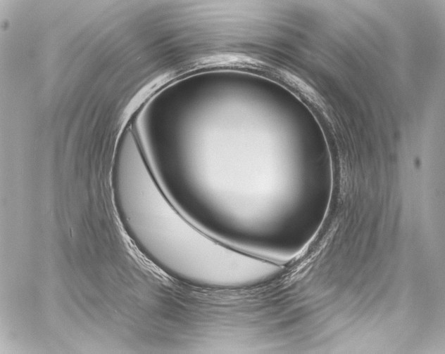 X0000060801330200511101409