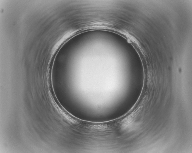 X0000060801333200511101409