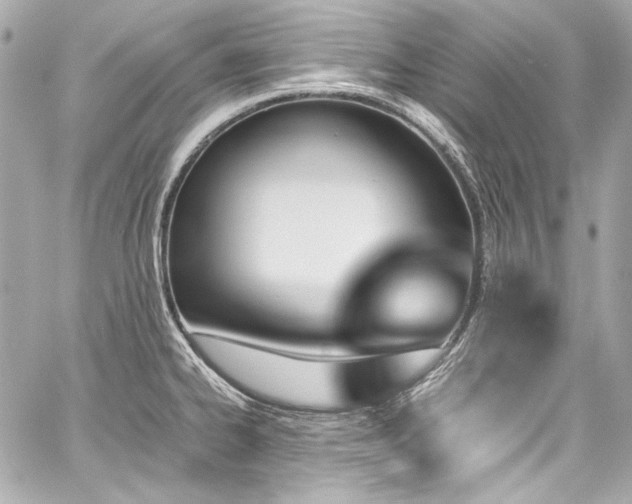 X0000060801334200511101409