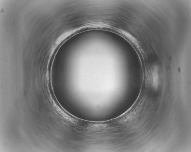 X0000060801335200511101409